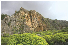 Mount Carmel