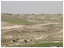 Shepherds� Field