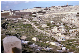 City of David