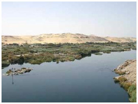 The Nile River